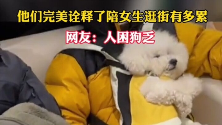 Ngày 1 tháng 1 tại Bắc Kinh, họ đã chứng minh hoàn hảo rằng đi mua sắm cùng bạn gái mệt đến mức nào;