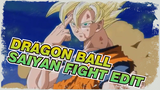 Dragon Ball | Saiyan Fight Edit