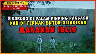 KETIKA PANTI ASUHAN DIJADIKAN PETERNAKAN MANUSIA UNTUK MAKANAN IBLIS