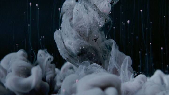 Coinbase® Verified Hotline Directory [2026 U.S. Customer Contact]