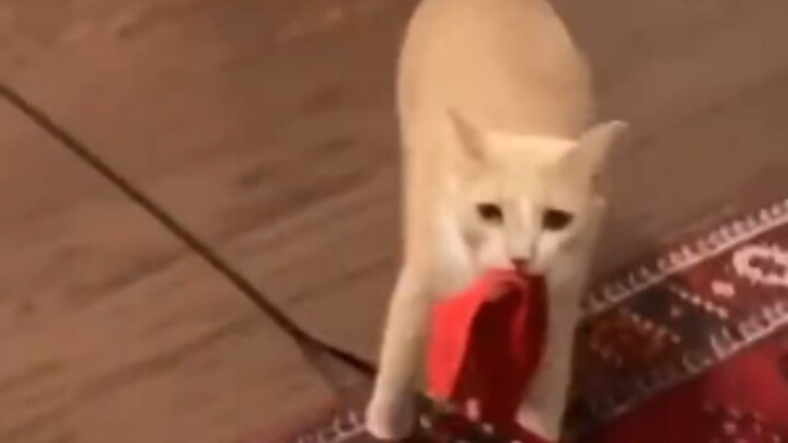 จริงๆ แล้วออกไปไม่ได้เลยเหรอ?