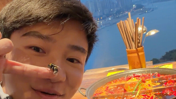 Taking the bees on a trip to Chongqing for the New Year～