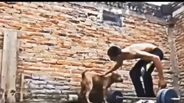 Chó còn tự giác hơn bạn