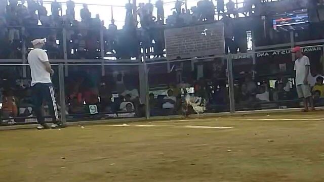 my kelso Gilmore white