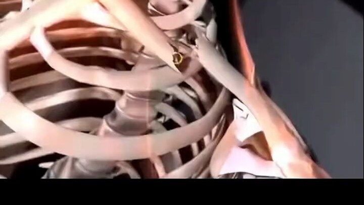 Flesh is frail, but machines ascend.