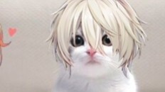 [Koichika] There is something wrong with my Koichika love story as expected.