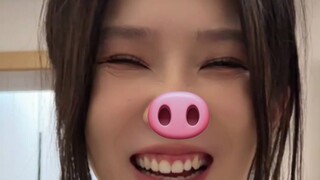 الإشارة إلى الغوريلا على أنها خنزير