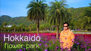 จุดเช็คอินเขาใหญ่ที่ไม่ควรพลาด สวนดอกไม้ญี่ปุ่น Hokkaido Flower Park