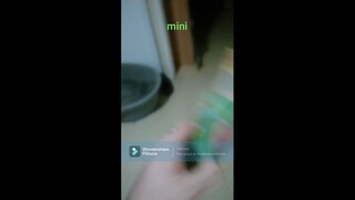 mini et olivia chante