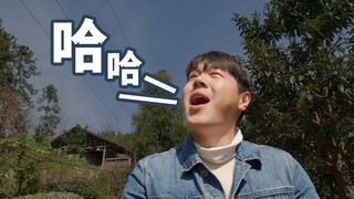 Mèo trong nhà biến mất, chủ nhân lại xuất hiện trên phố, ha ha ha