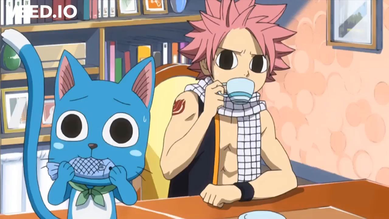 Funniest Moments in Fairy Tail Season 3 - HubPages