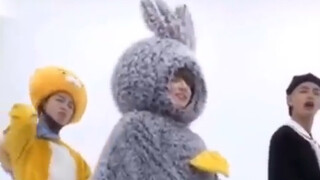 【防弹少年团田柾国】我们果果兔也是有官方个兔直拍的兔精