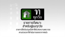 ดาวเปื้อนดิน 7
