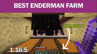 Minecraft: Best Enderman Farm 1.17/1.18