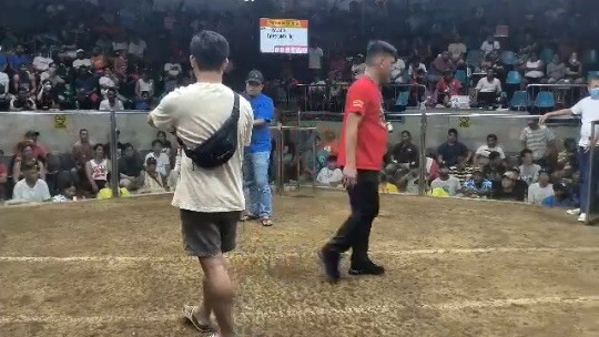 SweaterBoston 1st fyt (Win)