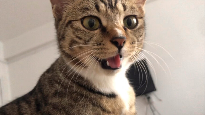 Oh my god! This devilish little temptress!