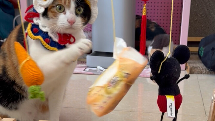 Cats Don’t Catch Mice