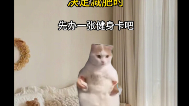 Persiapan Sebelum Kamu Merencanakan Program Diet