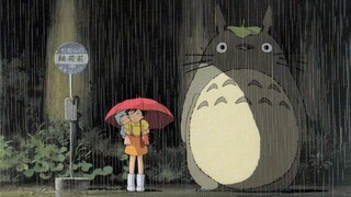 TOTORO FUNNY MOMENTS (studio ghibli)