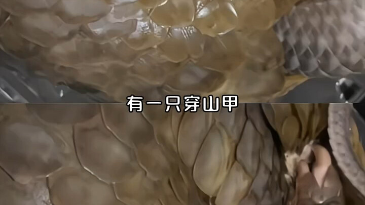 For knowledge sharing only, with no inappropriate guidance.