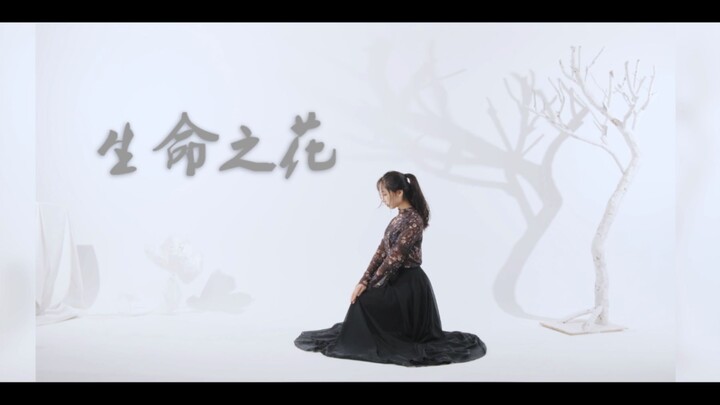 【西瓜Kune X enolla】鸽舞 ✿生命之花✿