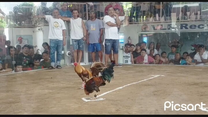 4cock 85k champion 7/17/2025 at VLR galera kananga leyte