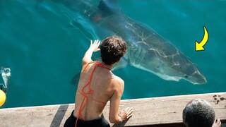 They Think They Can Have Fun With This Shark, But They Are WRONG!