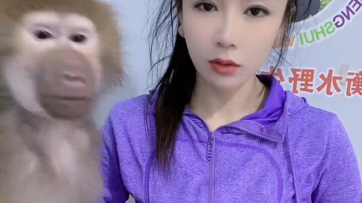 Streamer Turns on Beauty Filter, Brother Monkey Is Totally Confused – Complete Version