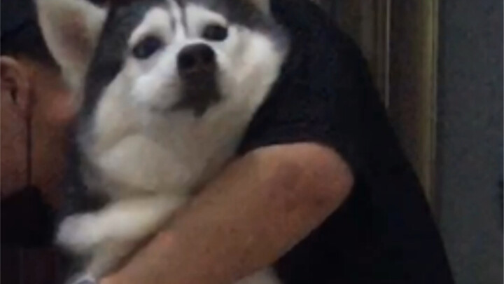 Highlight the key points—did you get it?