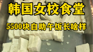 韩国女校食堂5500元自助午饭长啥样？（豆腐也能算道菜？！）