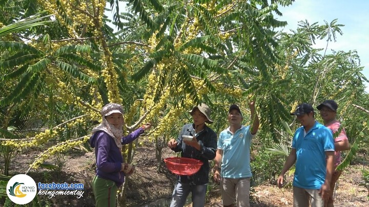 Gỏi Chùm Ruột Món Ăn Miền Quê | Hội Ngộ Miền Tây - Tập 324