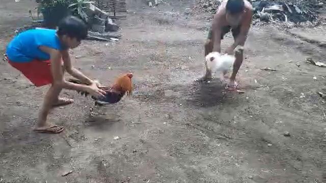 Literal na change magazine🤘🐓