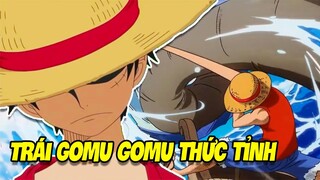 What if : Trái Ác Quỷ Của Luffy Thức Tỉnh ? | One Piece