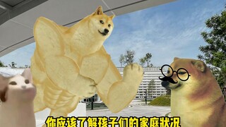cheems 护妻狂魔（九）