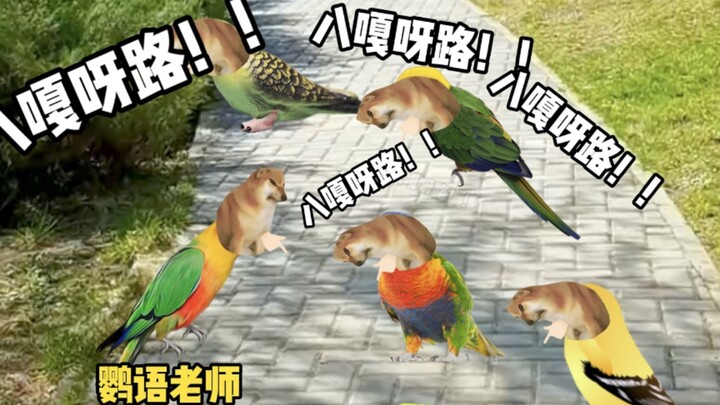 เมื่อนกแก้วเรียนรู้คำฮิตติดโซเชียล