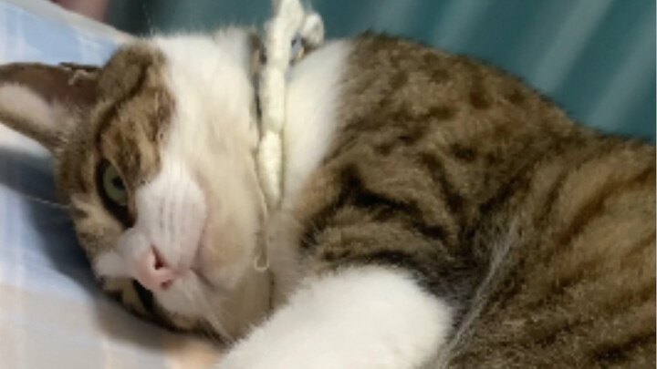 Wiping your butt with a bedsheet? You’re completely out of control!