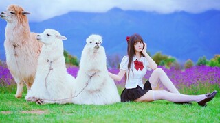 Alpaca University is applying for battle! ⚡️Such a cute ice cream love ❤️Don't misunderstand Yiyi❗️【