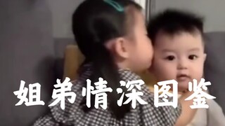姐弟情深图鉴