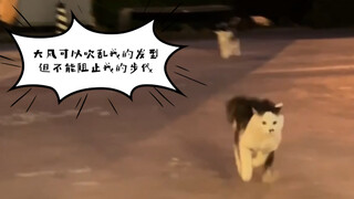 لو تأخرت ثانية واحدة فقط، ستُغلق أبواب المتجر!!! دائمًا ما أعود في اللحظة الأخيرة قبل إغلاق الباب! (