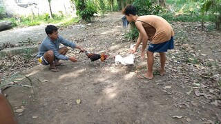malupet na may sampaga. sinibalang🐔