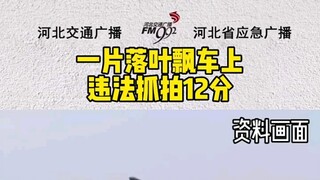 A fallen leaf lands on a car—illegal photo capture results in 12 points deducted for "obstructing li