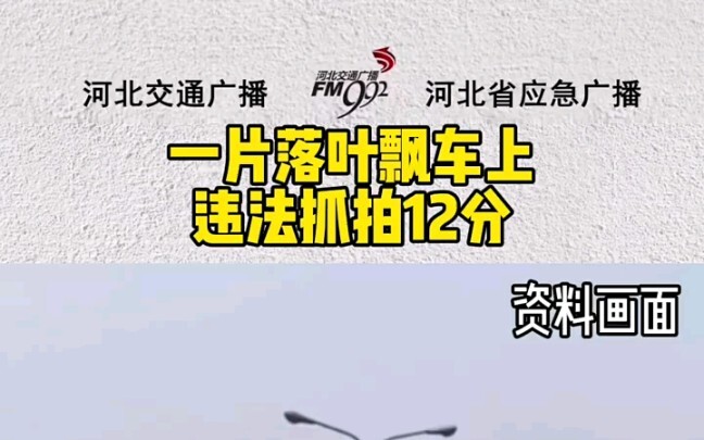 A fallen leaf lands on a car—illegal photo capture results in 12 points deducted for "obstructing li