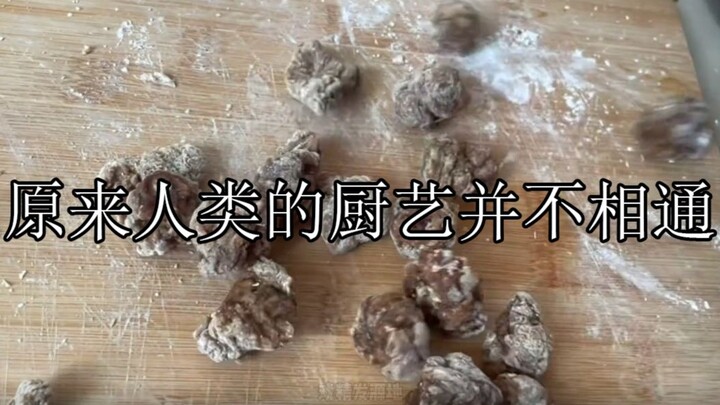 原来人类的厨艺并不相通：狗看了都摇头