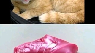 1 ชั่วโมงจัดไป