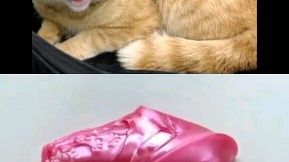 1 ชั่วโมงจัดไป