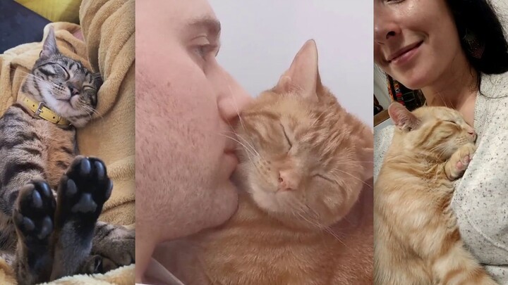 Once the cat has settled on you, you mustn’t move anymore!