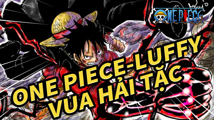 Awakening Devil Fruit Ni Law At Kid One Piece alog Analysis Bilibili