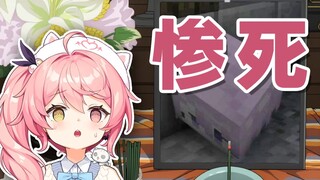 一生被坑的主播