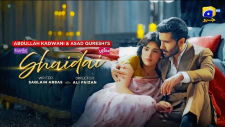 Shaidai Episode 19 in Hindi