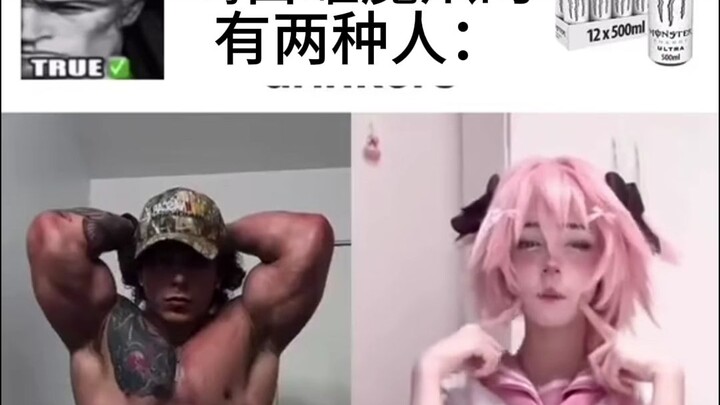 【meme】Khoan khoan khoan, đừng cuộn nữa nhóc mèo ơi!